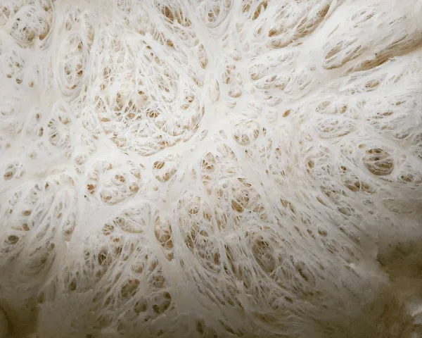 1-25-04-2018.webp 1-25-04-2018.webp